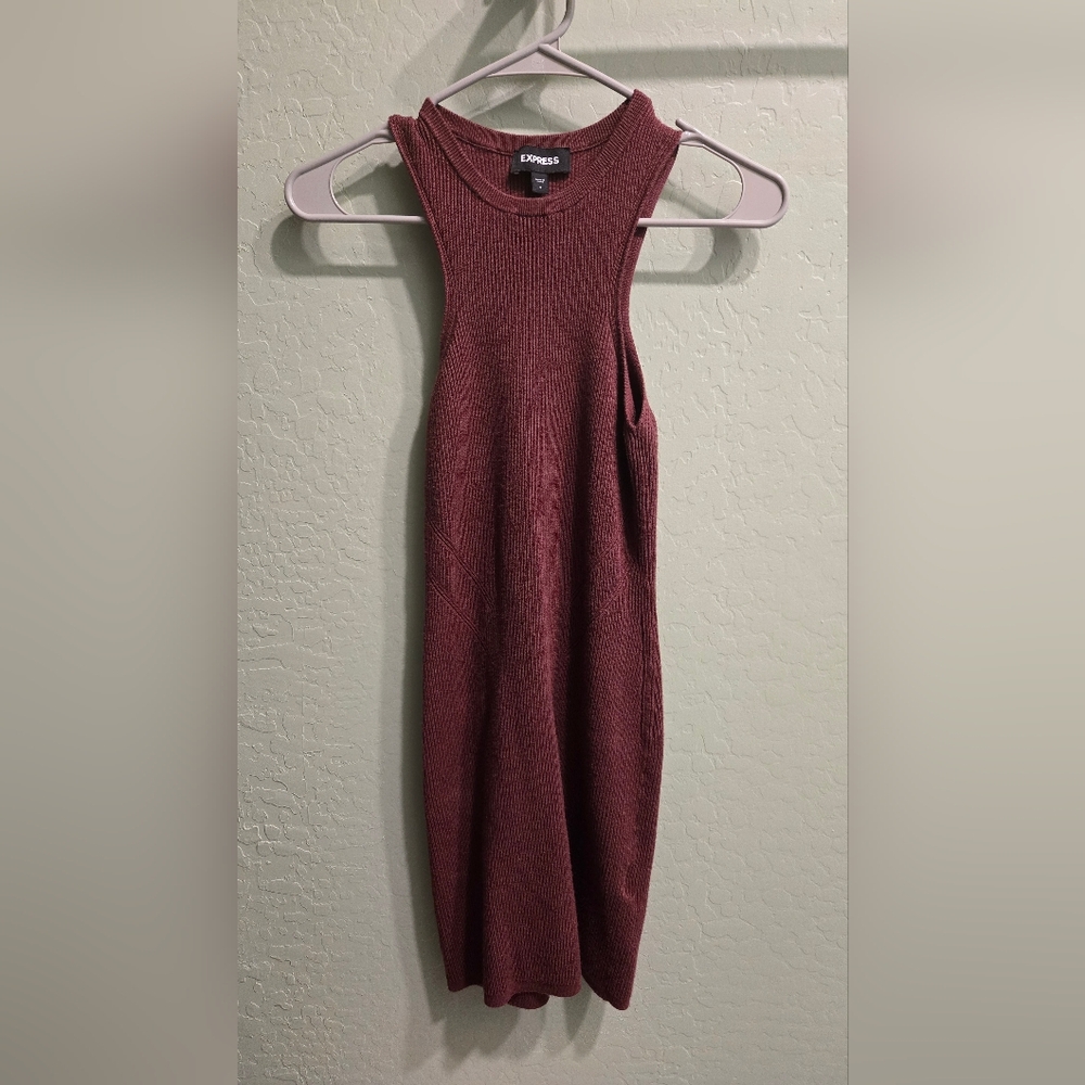Express Ribbed Mini Sweater Dress in Rum Raisin - Small - Picture 2 of 5